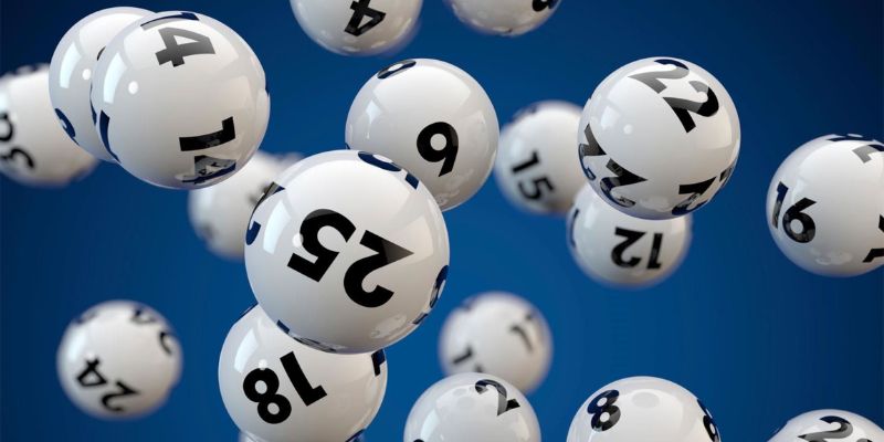 Đa dạng sản phẩm